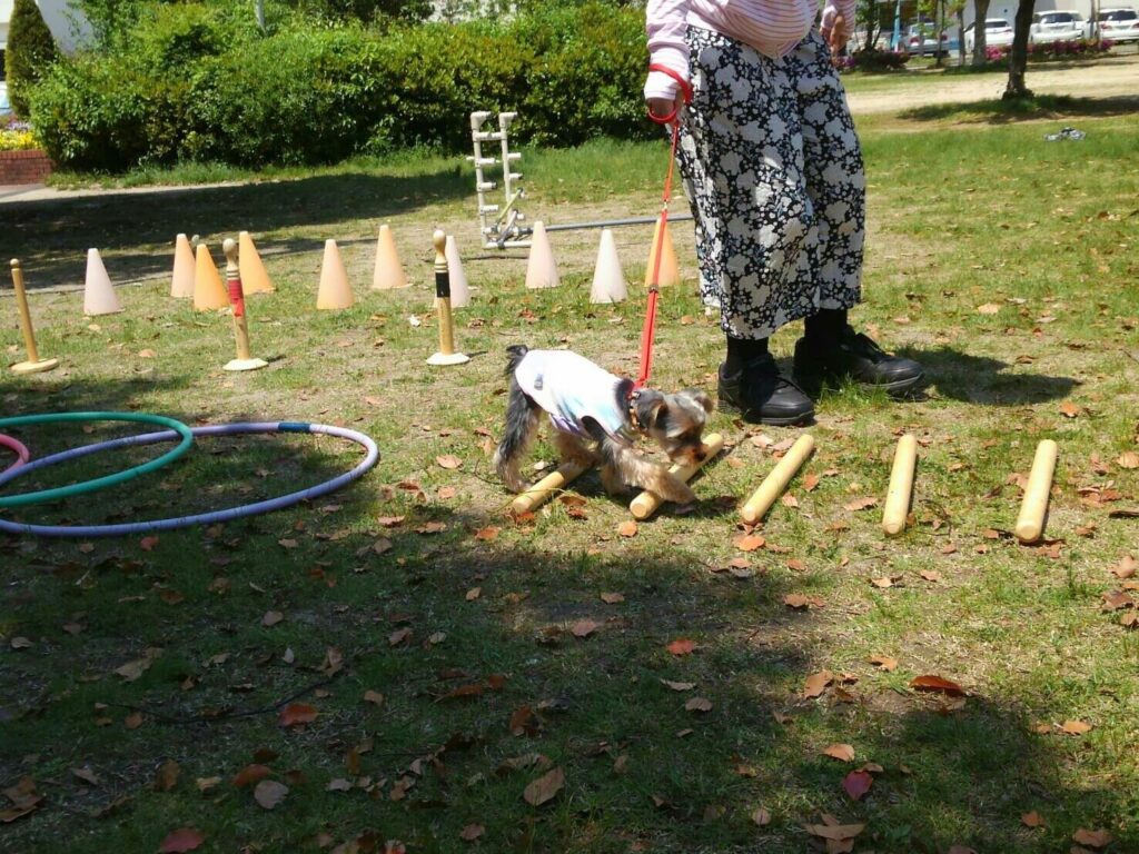 レッスン