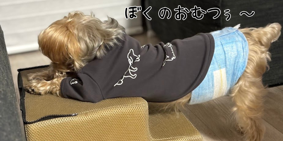ぼくのおむつ